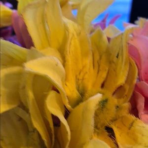 Meet your Posher, Thuan